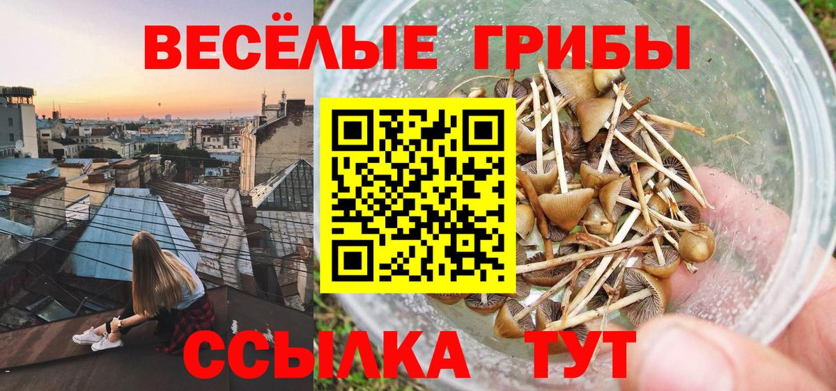 Галлюциногенные грибы ЛСД Котельники